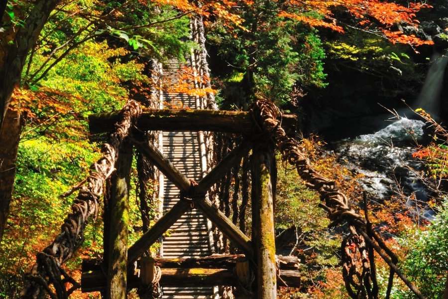 奥祖谷二重かずら橋の紅葉 スポット 体験 四国のおすすめ観光 旅行情報 公式 ツーリズム四国