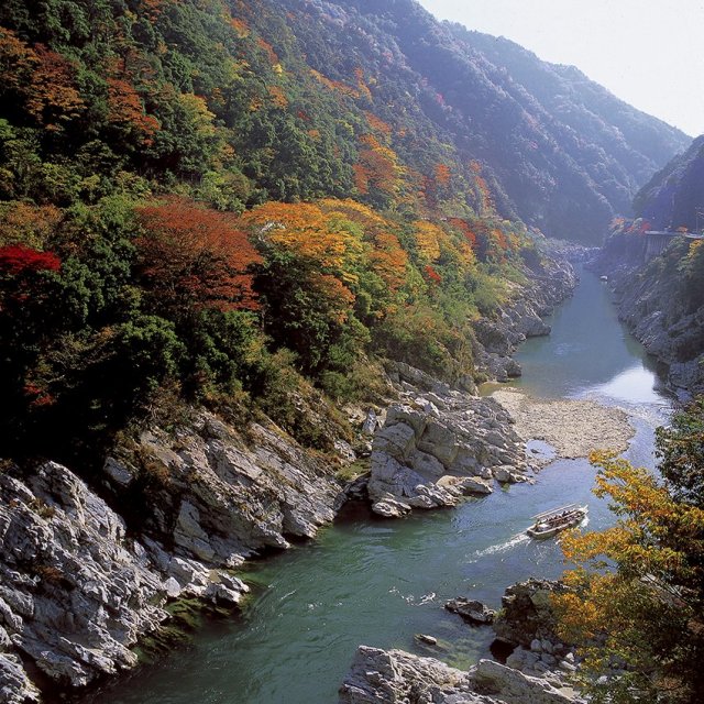 大歩危・小歩危の紅葉