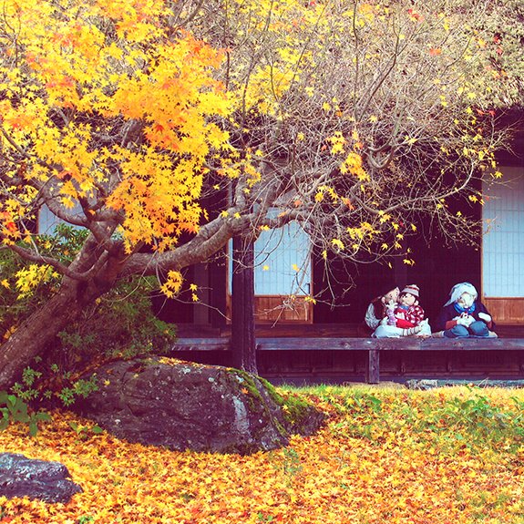 木屋平民族資料館の紅葉