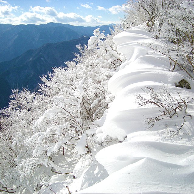 木沢の樹氷