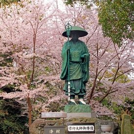 恩山寺自然公園の桜