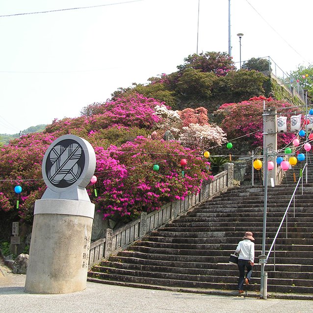 椎宮八幡神社のつつじ
