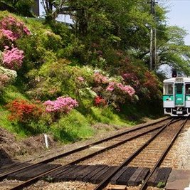 穴吹駅のさつき
