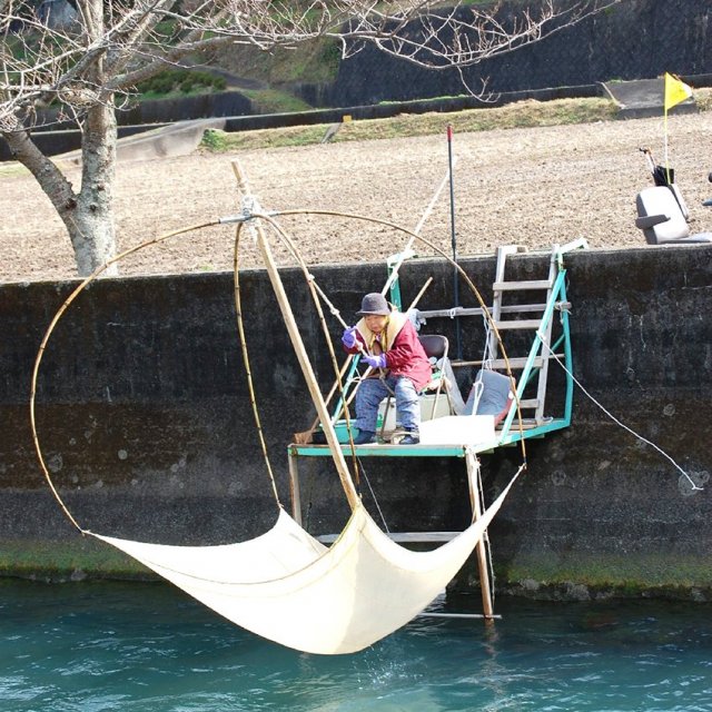 椿川のシラウオ漁