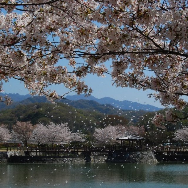 県立亀鶴公園