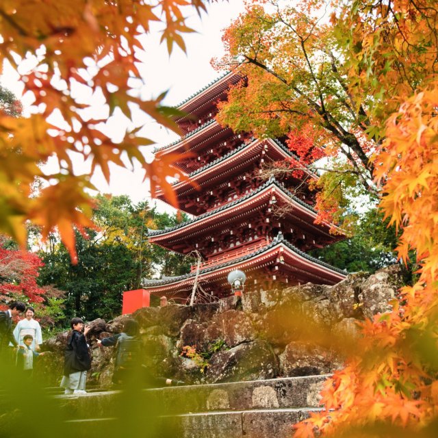Chikurin-ji Temple 