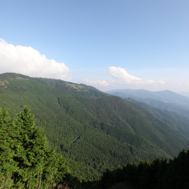 滑床渓谷・鬼ヶ城山系