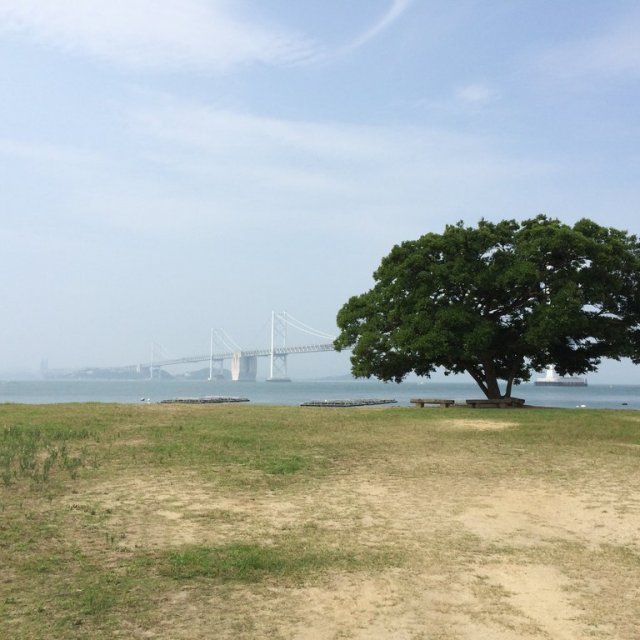 沙弥島