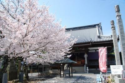 第七十二座曼陀羅寺｜觀光｜Tourism SHIKOKU