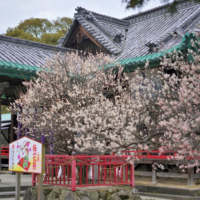 滝の宮神社