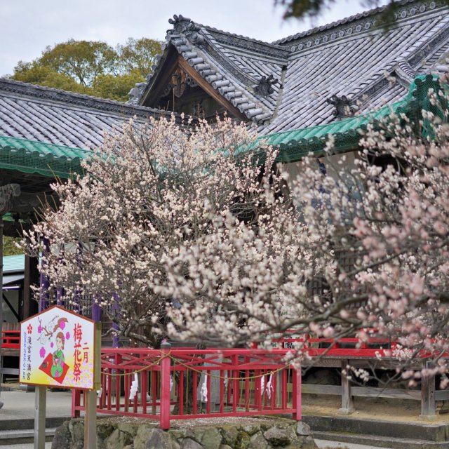 Takinomiya Shrine