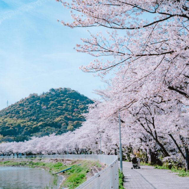 鎌田池公園