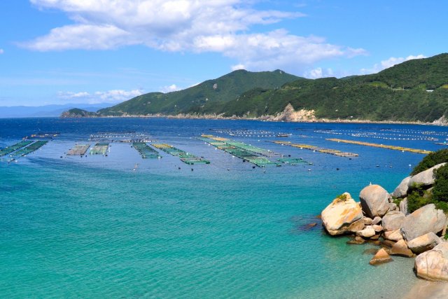 柏島，﻿沖之島，鵜來島