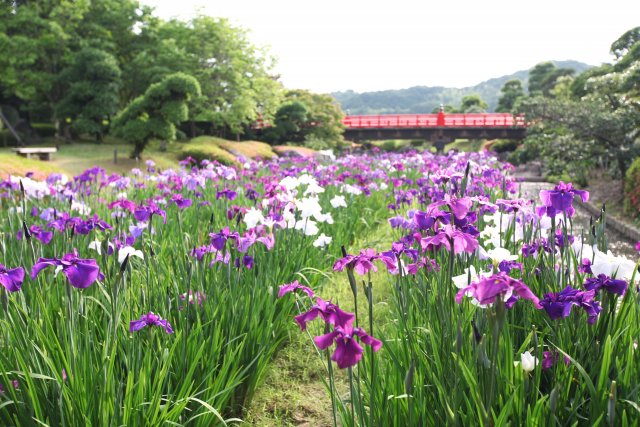Nanrakuen Garden