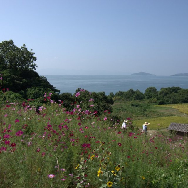 豊島