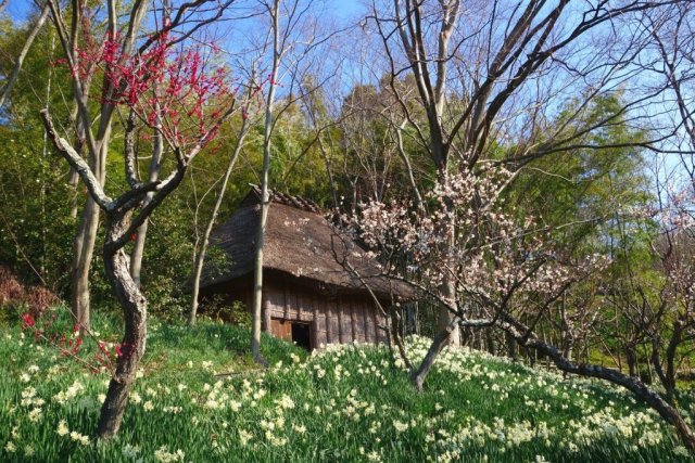 四国村ミウゼアム（四国民家博物館）