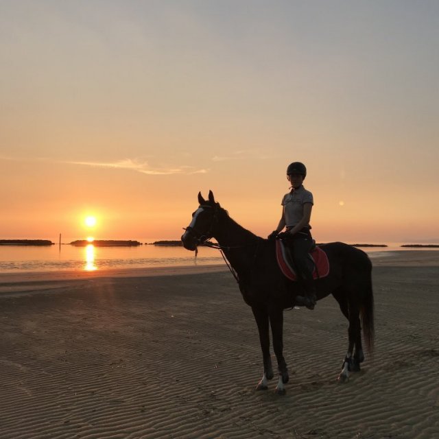 【アウトドア体験】有明浜ホースパーク　乗馬体験