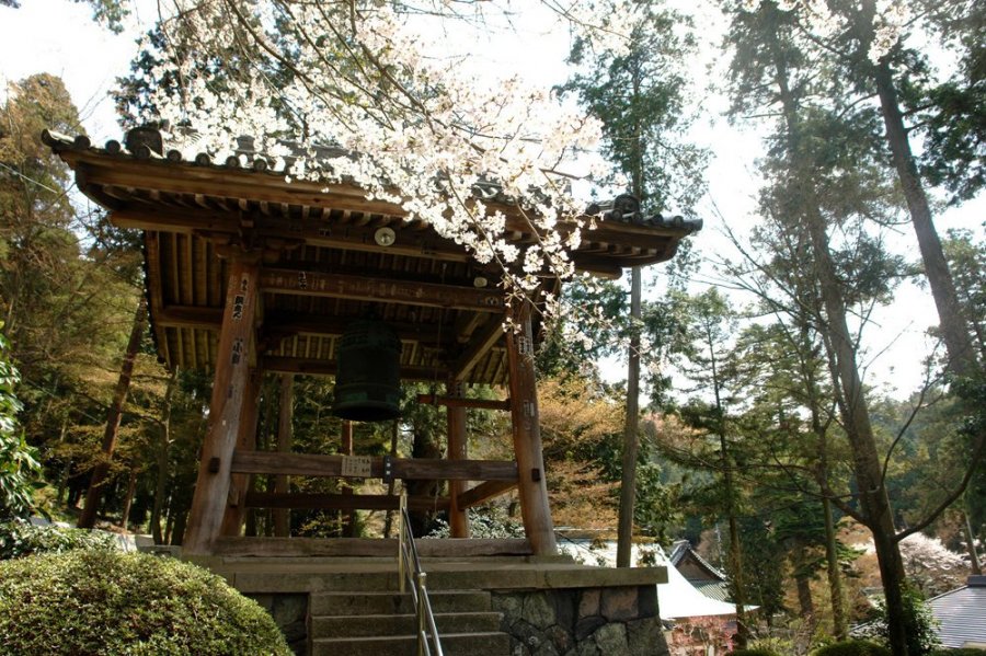 第八十一座白峰寺｜观光｜Tourism SHIKOKU