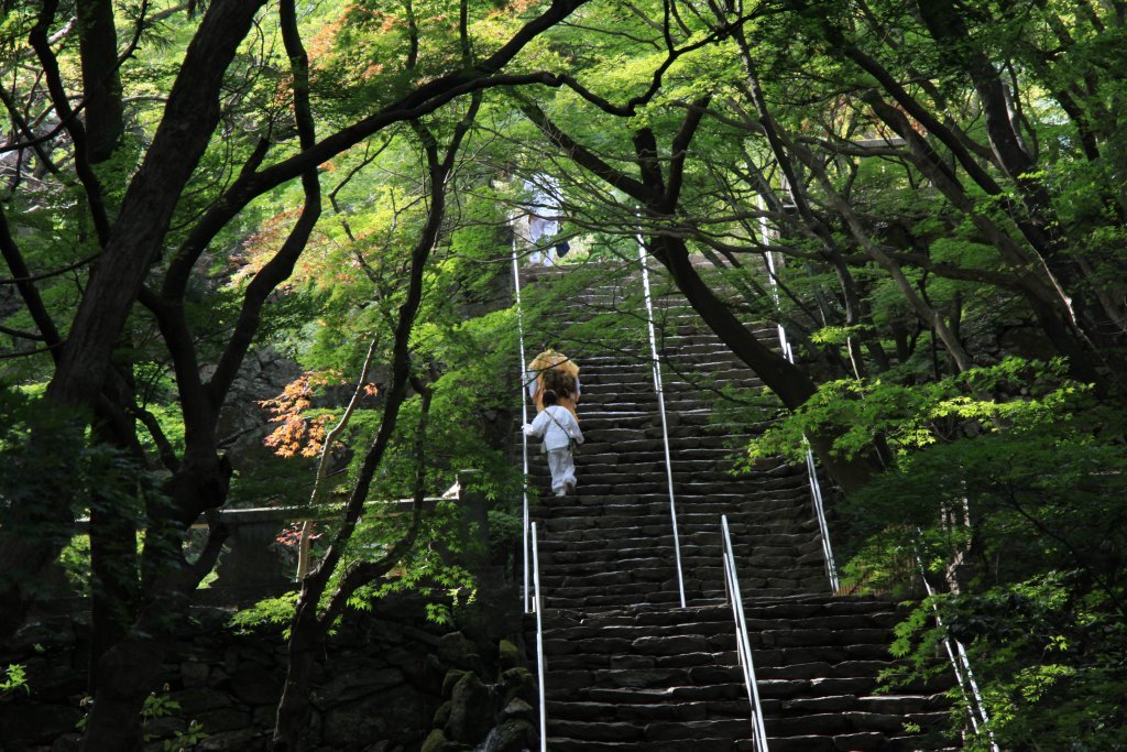 第82番札所 青峰山 千手院 根香寺｜スポット・体験｜四国のおすすめ