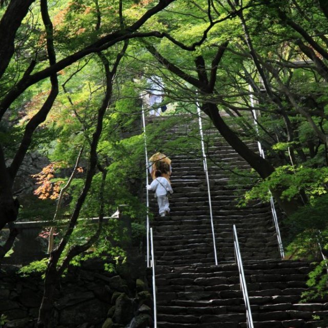 第82番札所 青峰山 千手院 根香寺