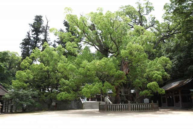 Oyamazumi Shrine