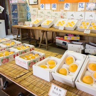 飯田桃園