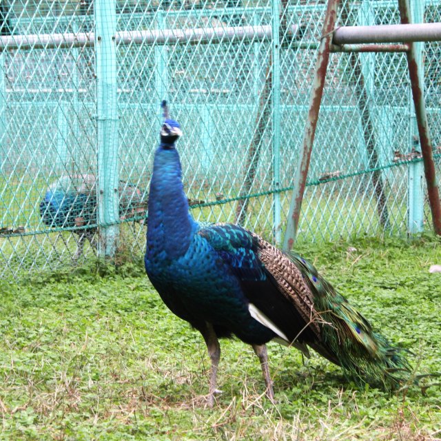 吉田公園