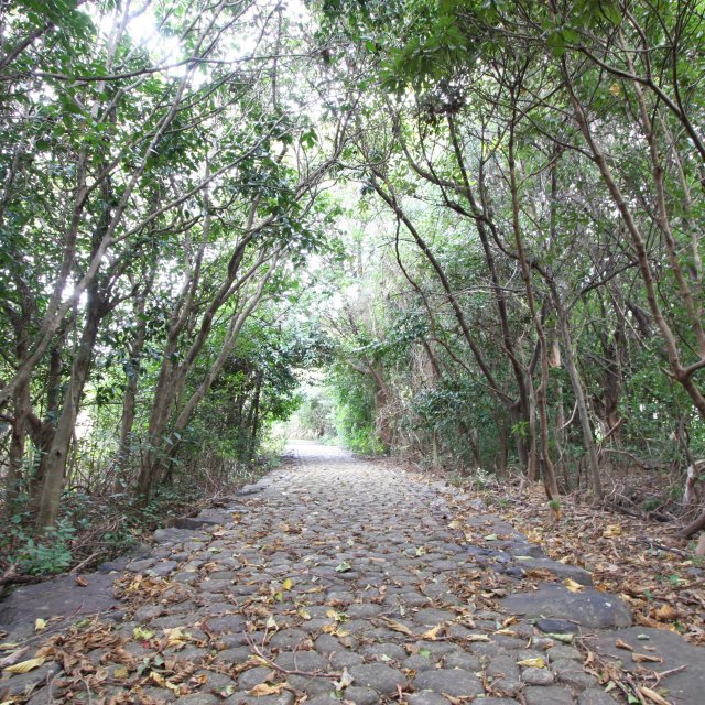 須ノ川公園