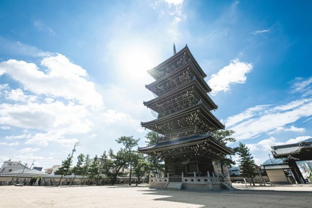 Temple 75, Zentsūji