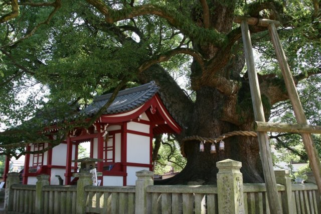 第75番札所 五岳山 誕生院 善通寺