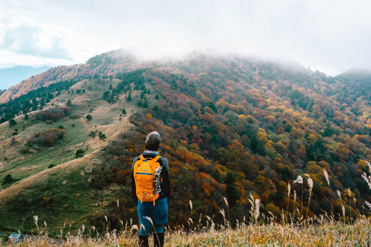 三好市 落合峠｜スポット・体験｜四国のおすすめ観光・旅行情報！ 【公式】ツーリズム四国