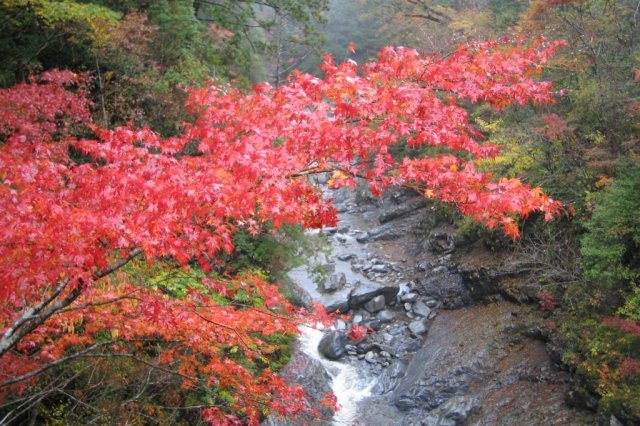 Omogo Gorge (Omogokei)