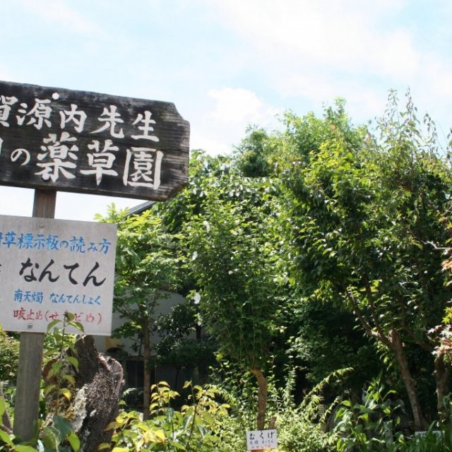 薬草園（平賀源内旧邸）