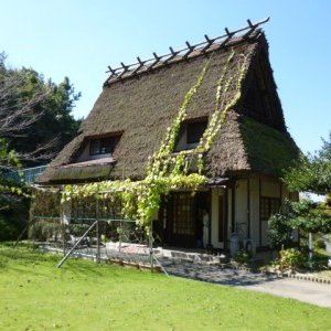綾歌森林公園畦田キャンプ場
