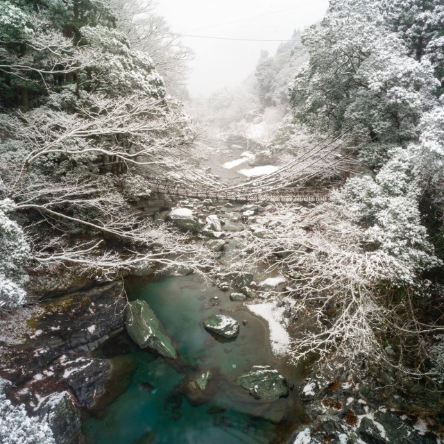 Iya Vine Bridge in Winter