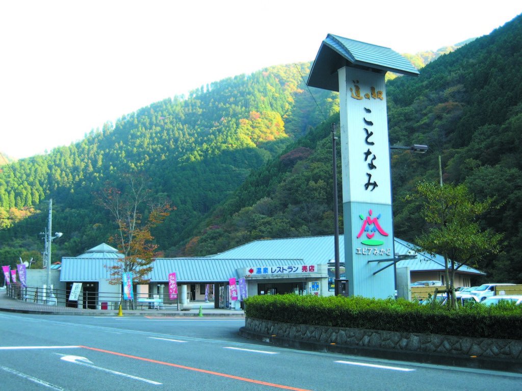 道 の 駅 こと なみ