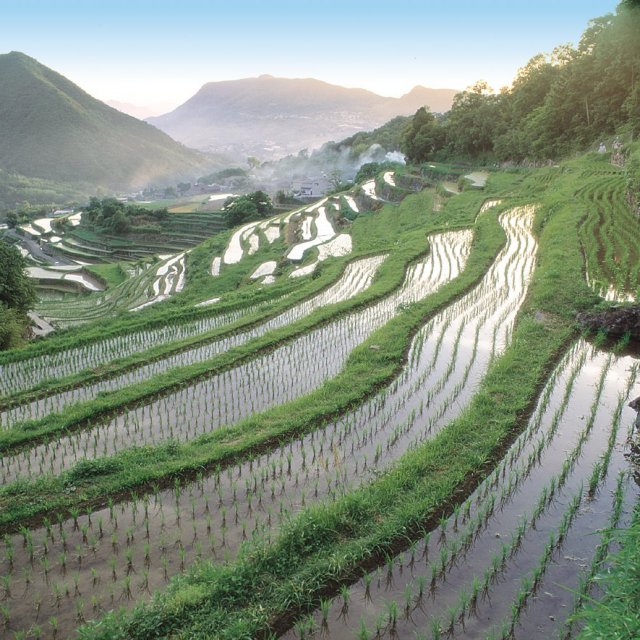 [One of the Top 100 Sustainable Tourism Destinations in the World in 2021]  Conservation activities in Nakayama Senmaida.