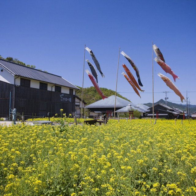 Recycling-oriented agriculture using flowers from flower gardens to feed pigs.