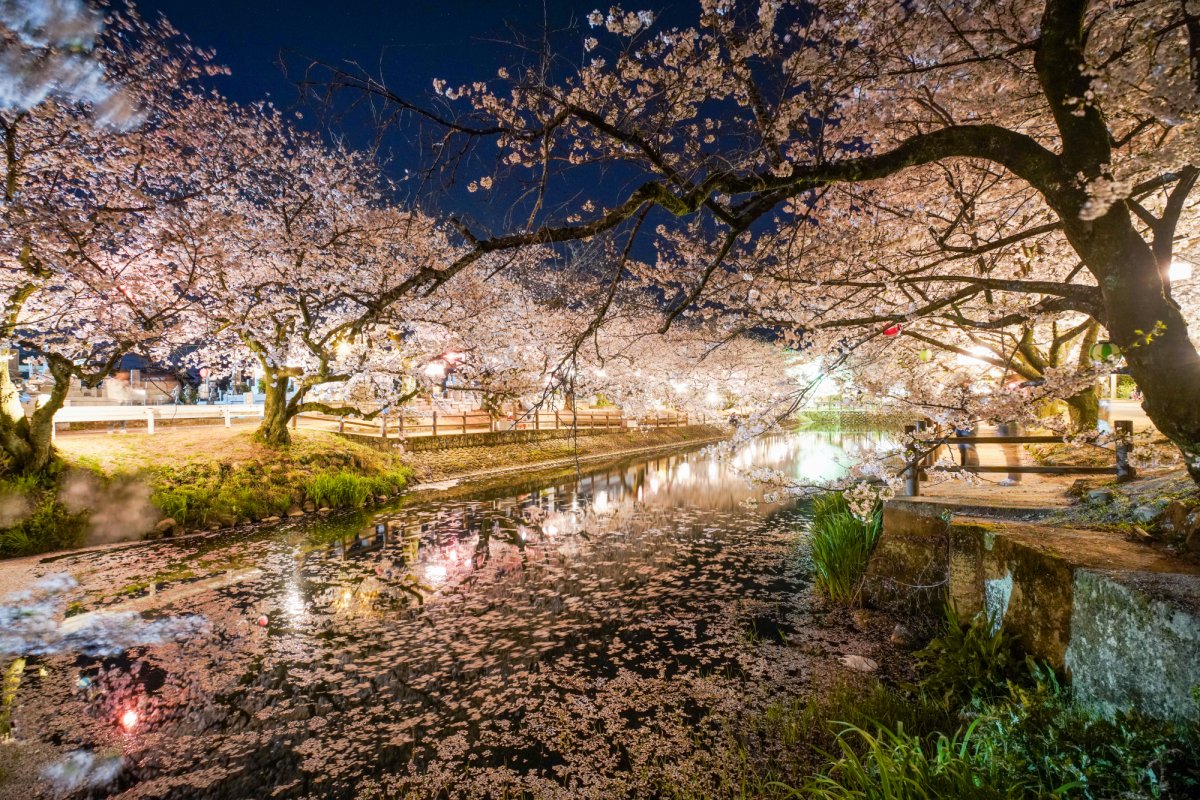 西条市 ひょうたん池｜スポット・体験｜四国のおすすめ観光・旅行情報！ 【公式】ツーリズム四国