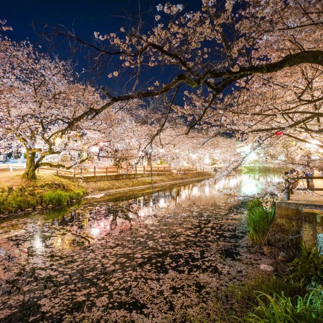 爱媛县西条市 葫芦池
