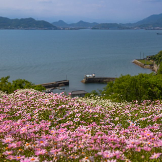 志々島