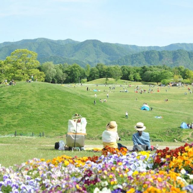 国営讃岐まんのう公園（国营赞岐满浓公园）