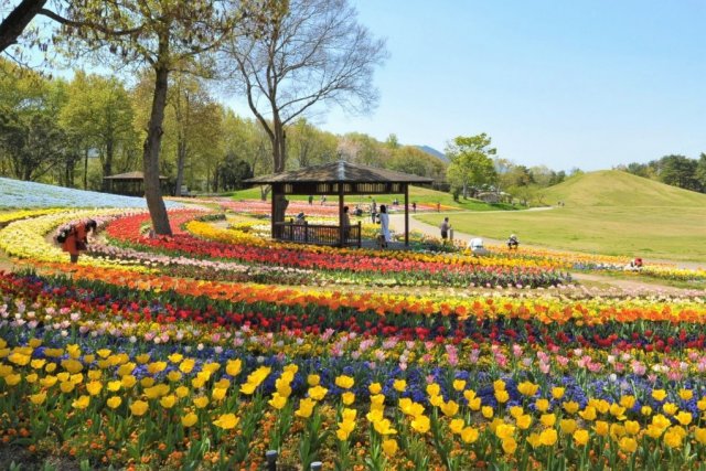国営讃岐まんのう公園