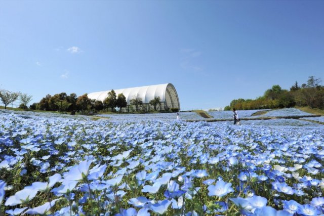 国営讃岐まんのう公園