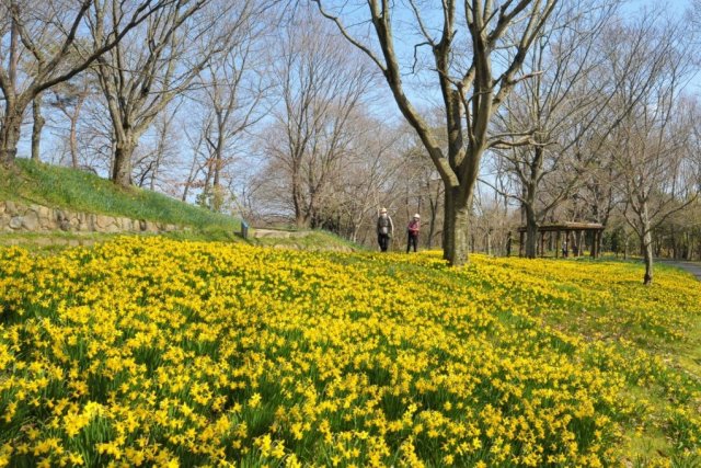 国営讃岐まんのう公園