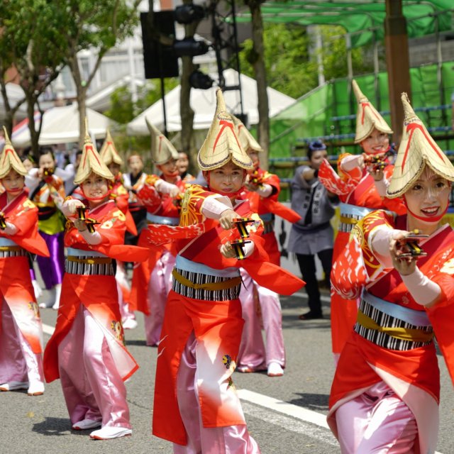 Yosakoi Festival  
