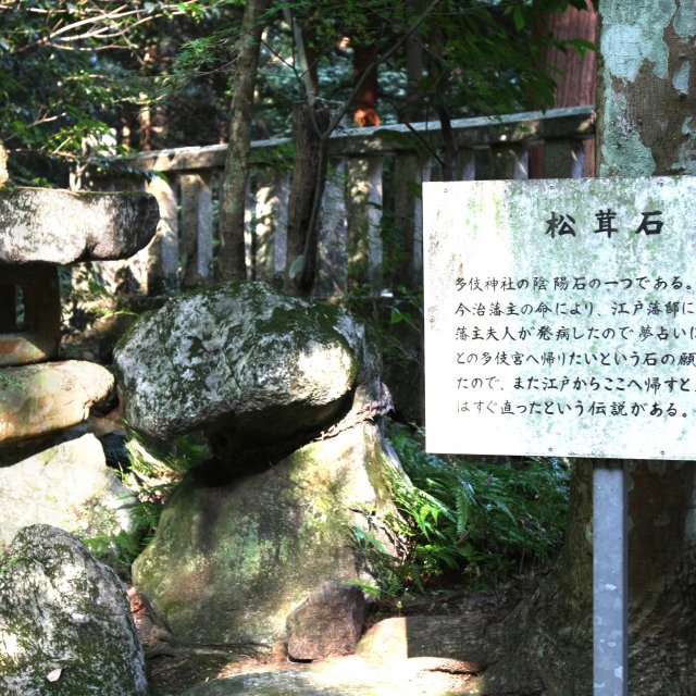 多伎神社