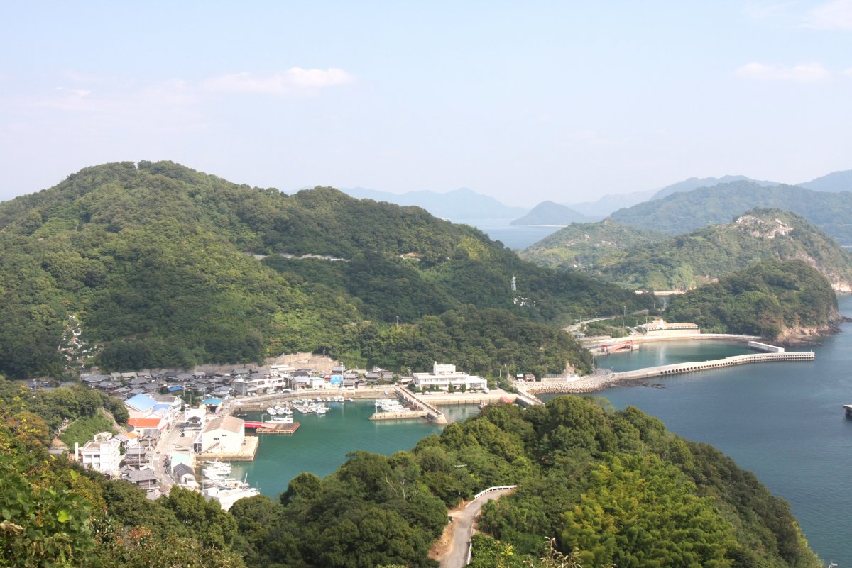 ナガタニ 展望 台