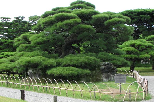 栗林公園