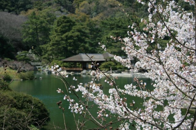 Ritsurin Garden